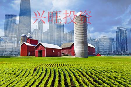 輕工食品、服裝紡織公司注冊流程及費用
