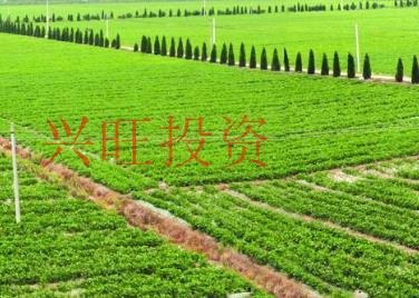 注冊(cè)一家農(nóng)業(yè)公司